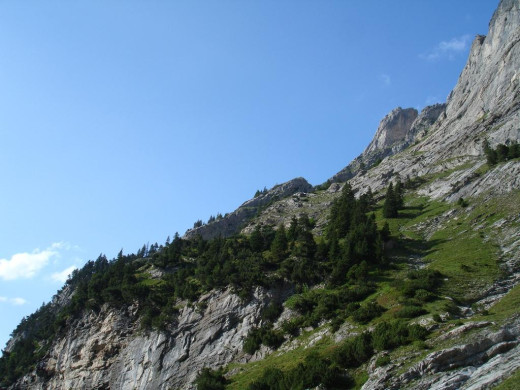 29288 (a): :1024x768